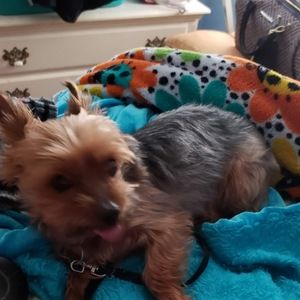 Meet your Posher, Alanna jasmine